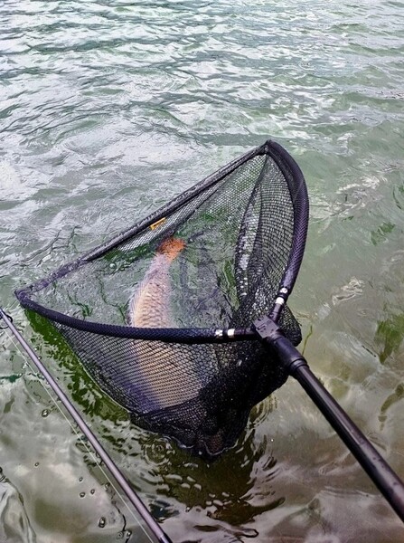 Épuisette carpe caoutchoutée Fencl Carp Premium 42