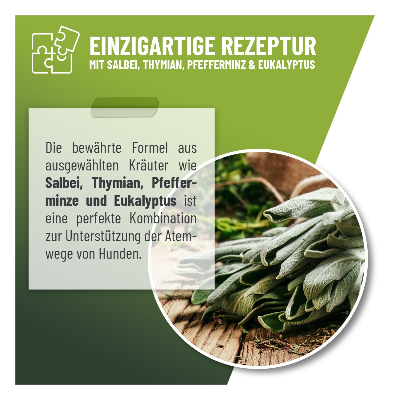 REAVET Hustensaft Tropfen 100ml