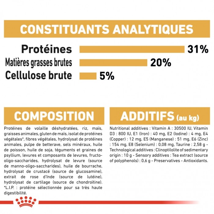Royal Canin Maine Coon Adult - Croquettes pour chat