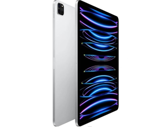 APPLE - iPad Pro 11 WiFi + Cellular 2 To Argent (4e gen.)