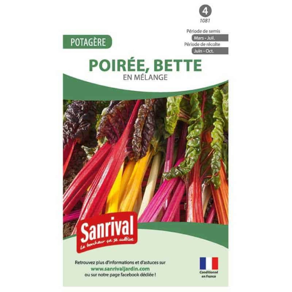 Graines poirée bette en mélange