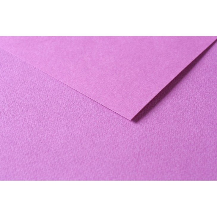 Tulipe rame 25F 50x65cm 160g - Lilas