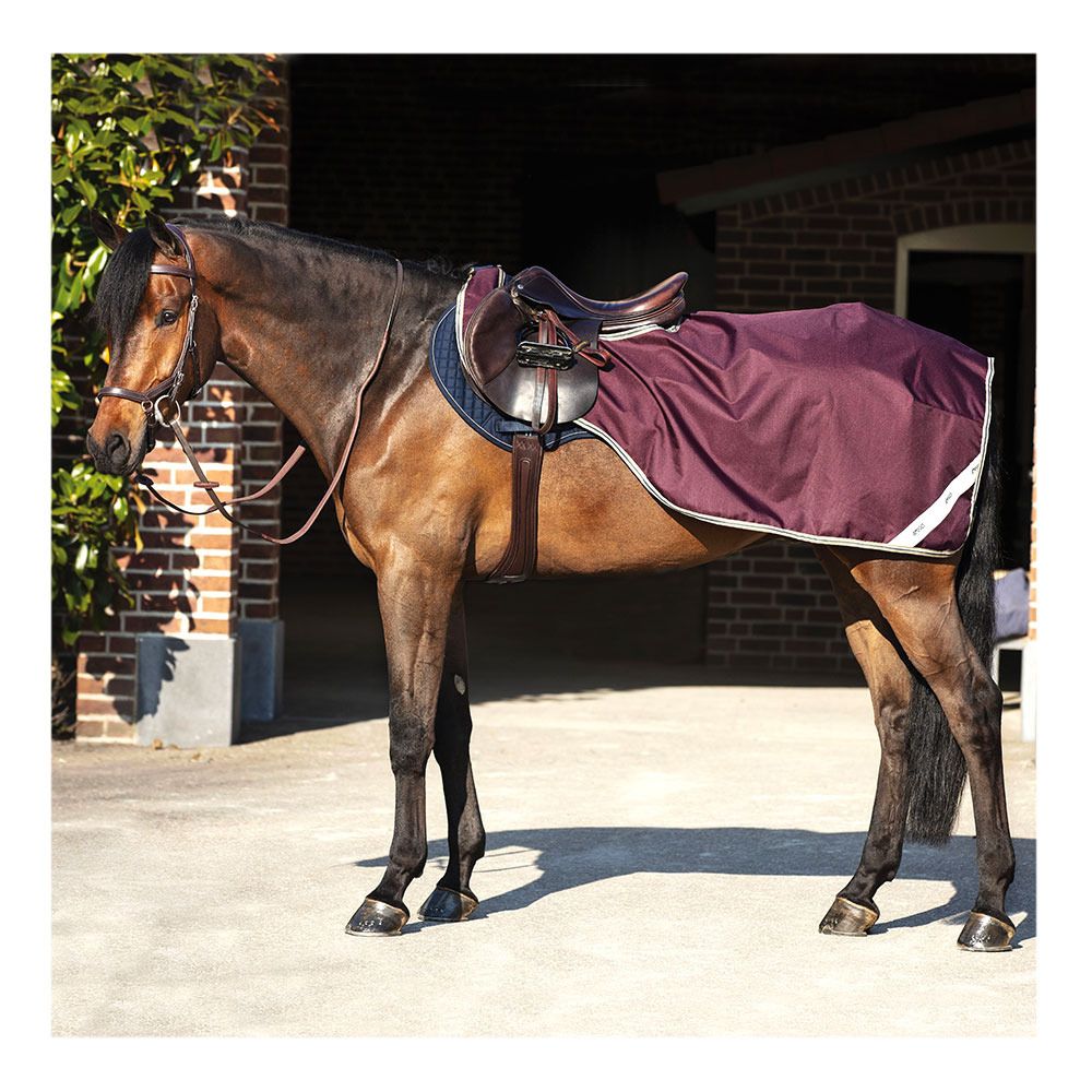 Horseware AMIGO RIPSTOP COMP SHEET - Couvre-reins fig/navy/tan