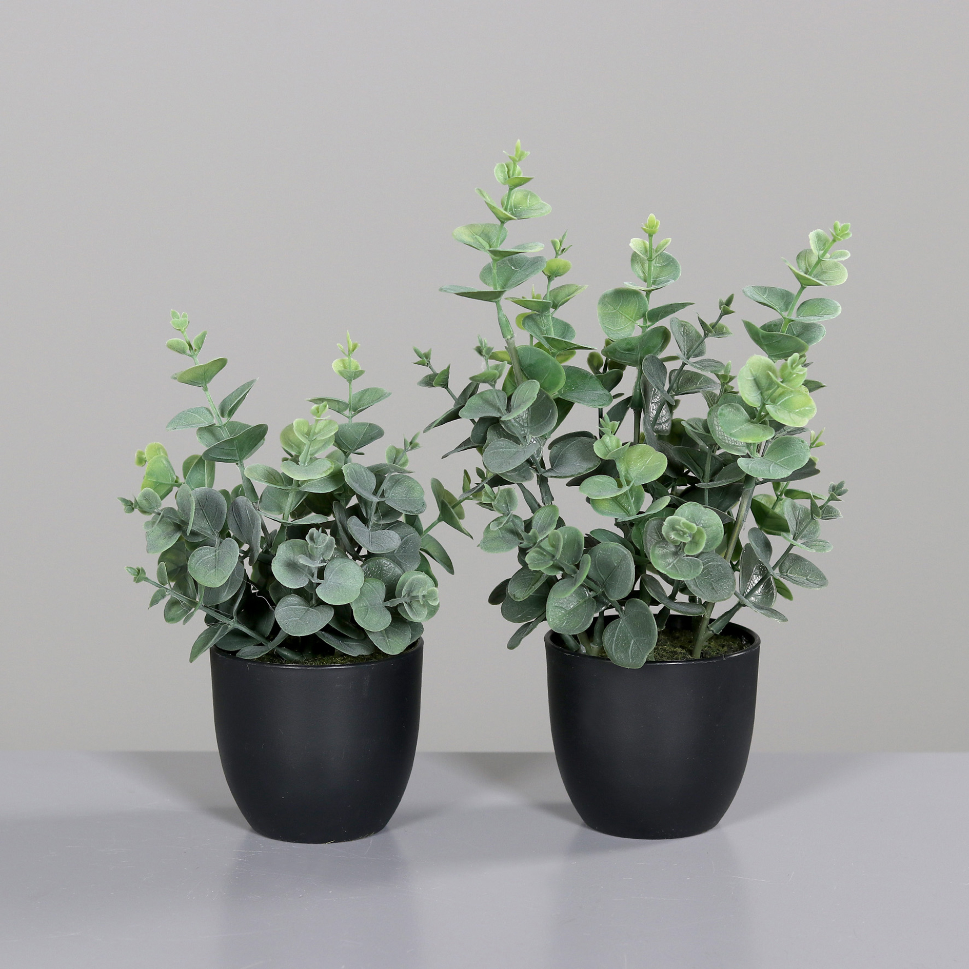 Eukalyptus im Topf - Kunstpflanze - 20 cm