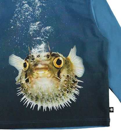Molo Pullover - Enovan - Kugelfisch