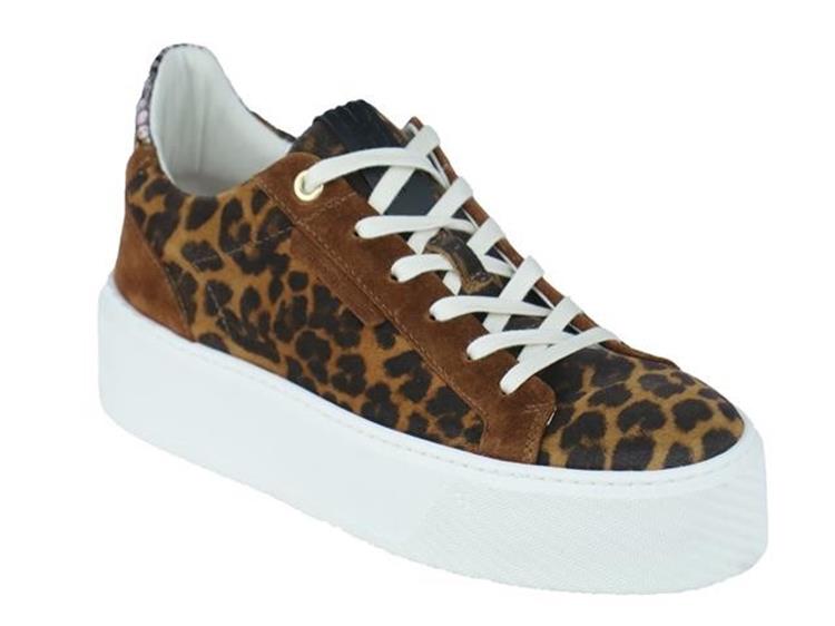Floris van Bommel SFW-10106 cognac