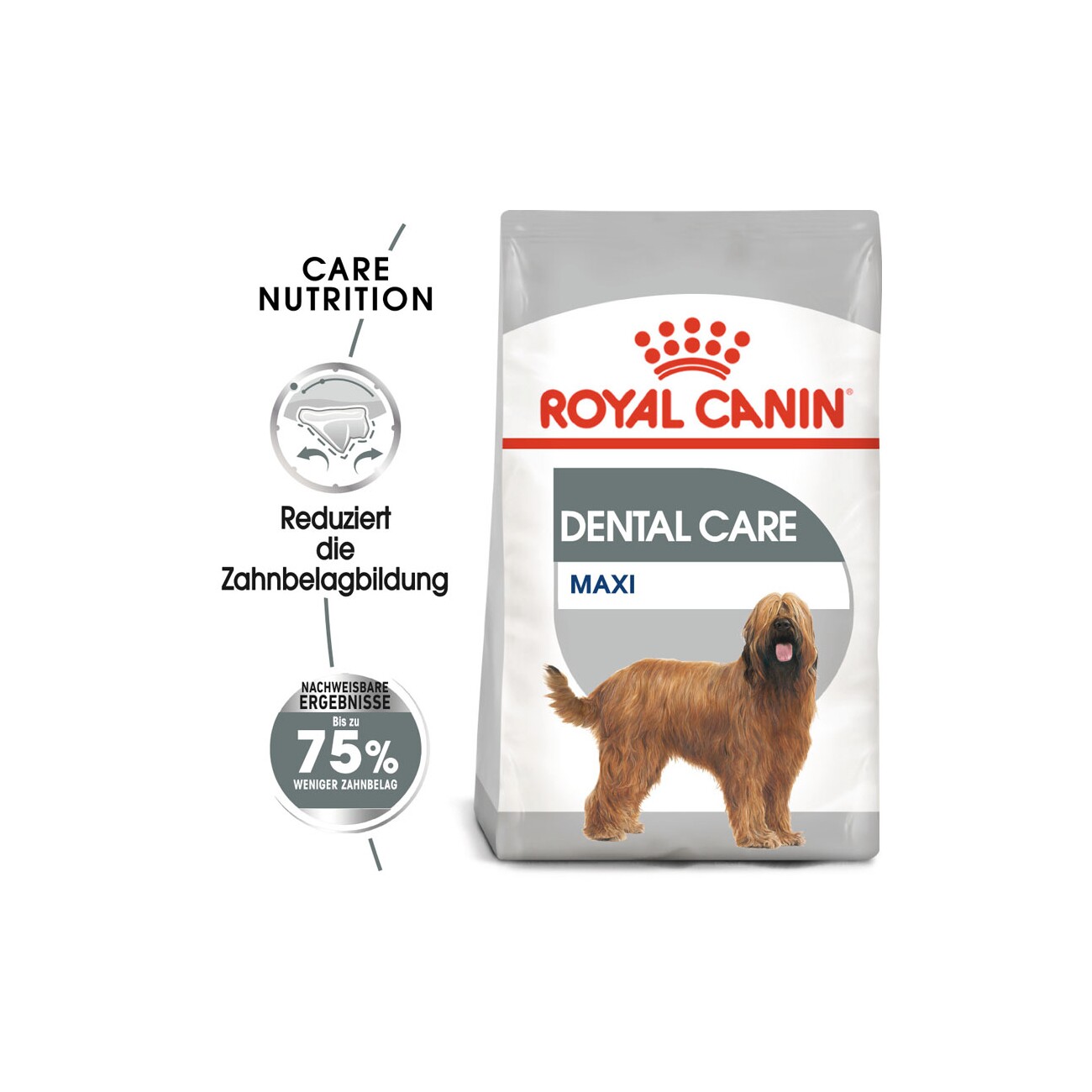 ROYAL CANIN Dental Care Maxi 9 kg