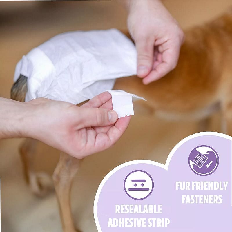 EasyPets Hondenluiers Teef Hond 30 stuks | S/M | 20043.2