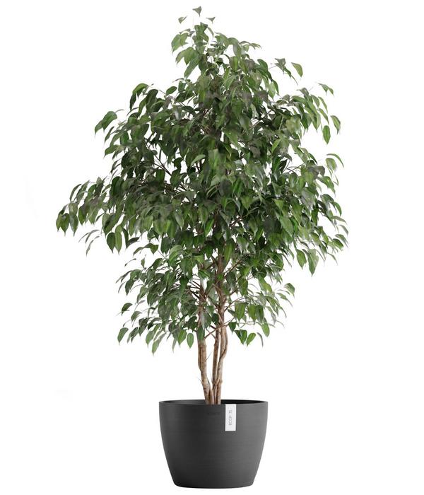 Ecopots Kunststoff-Topf Stockholm, rund