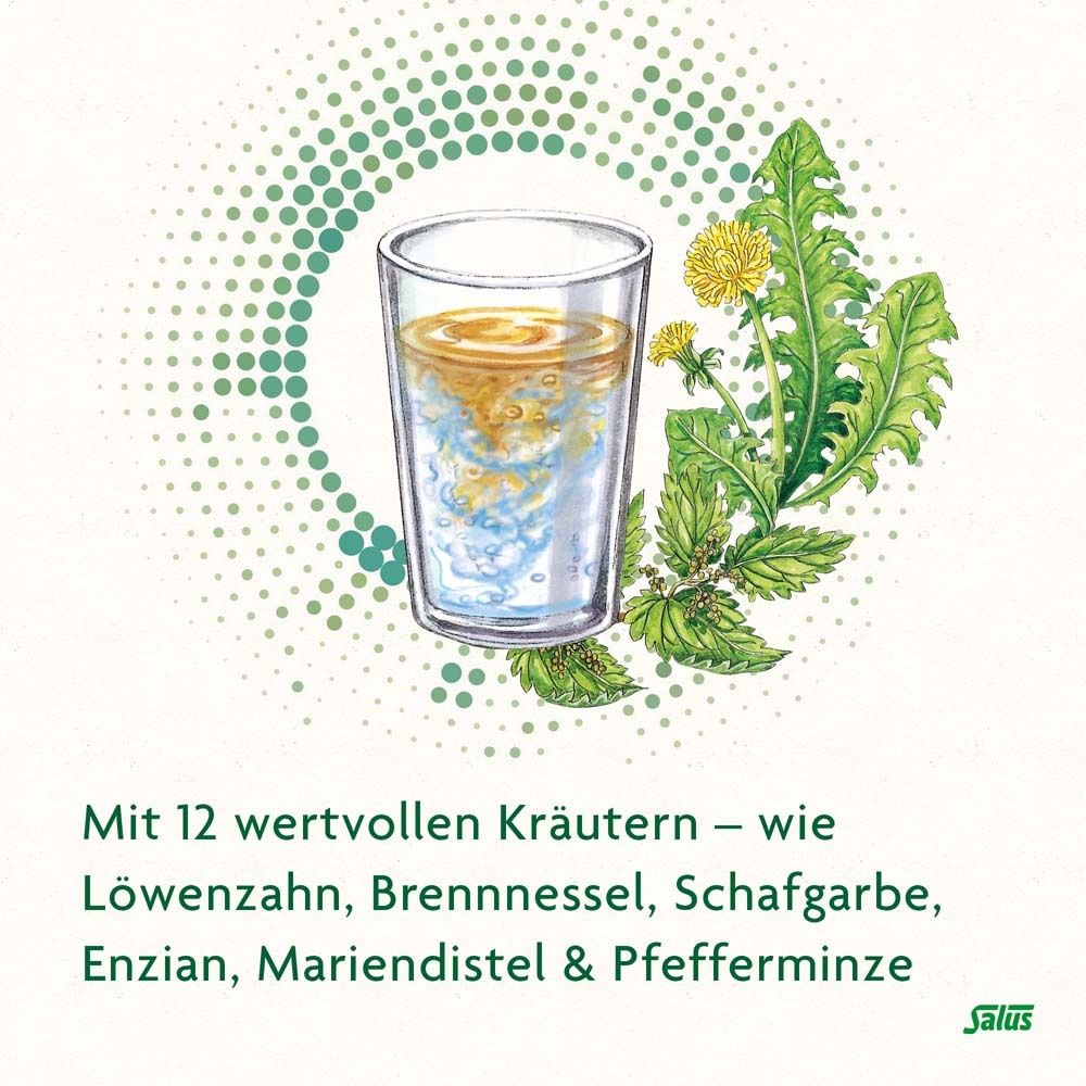 Salus® FREEBALANCE Löwenzahn-Brennnessel Elixier Bio