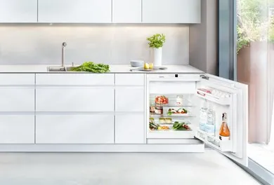 LIEBHERR UIK 1514 Indbygningskøleskab med BioCool