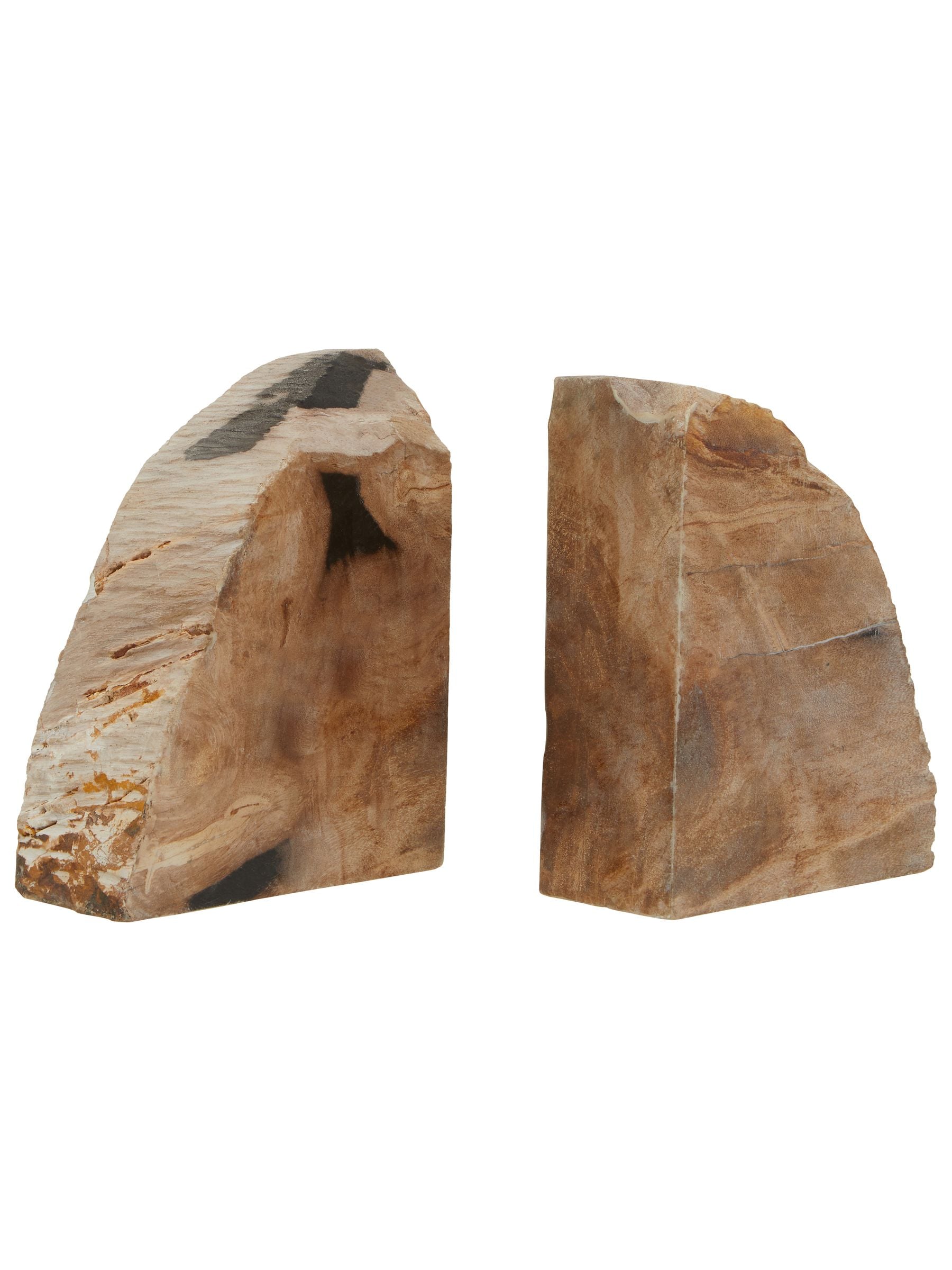 Fifty Five South Relic Set Of 2 Petrified Wood Bookends