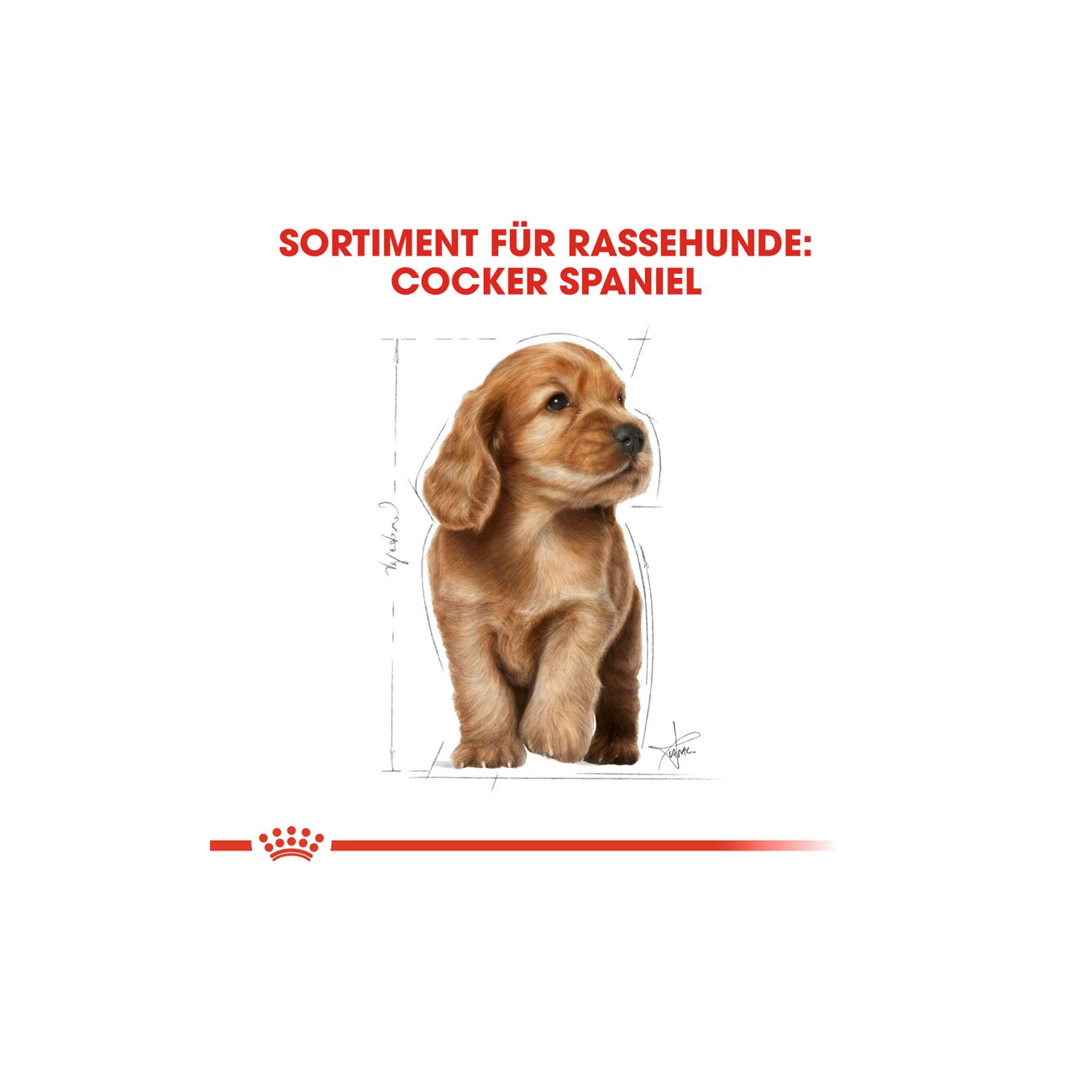 ROYAL CANIN Cocker Puppy 3kg
