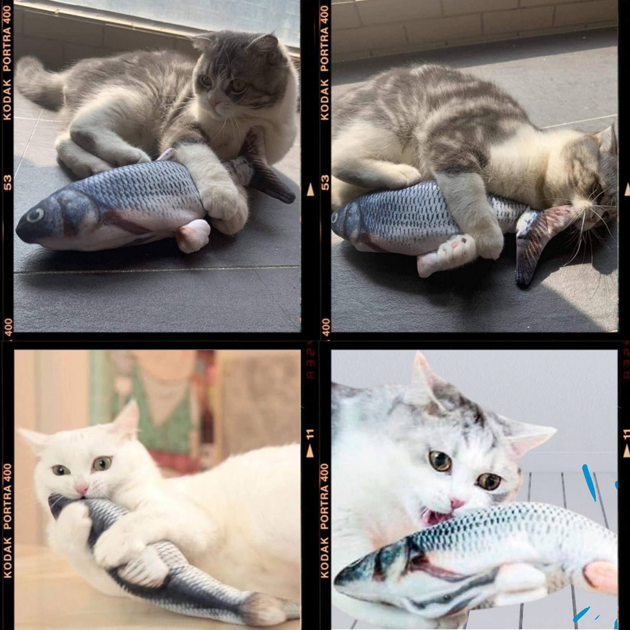 Best Direct® Set Katze - Katzenspielzeug zappelnder Fisch & Kratzpappe Magic Fish & Scratch N Play