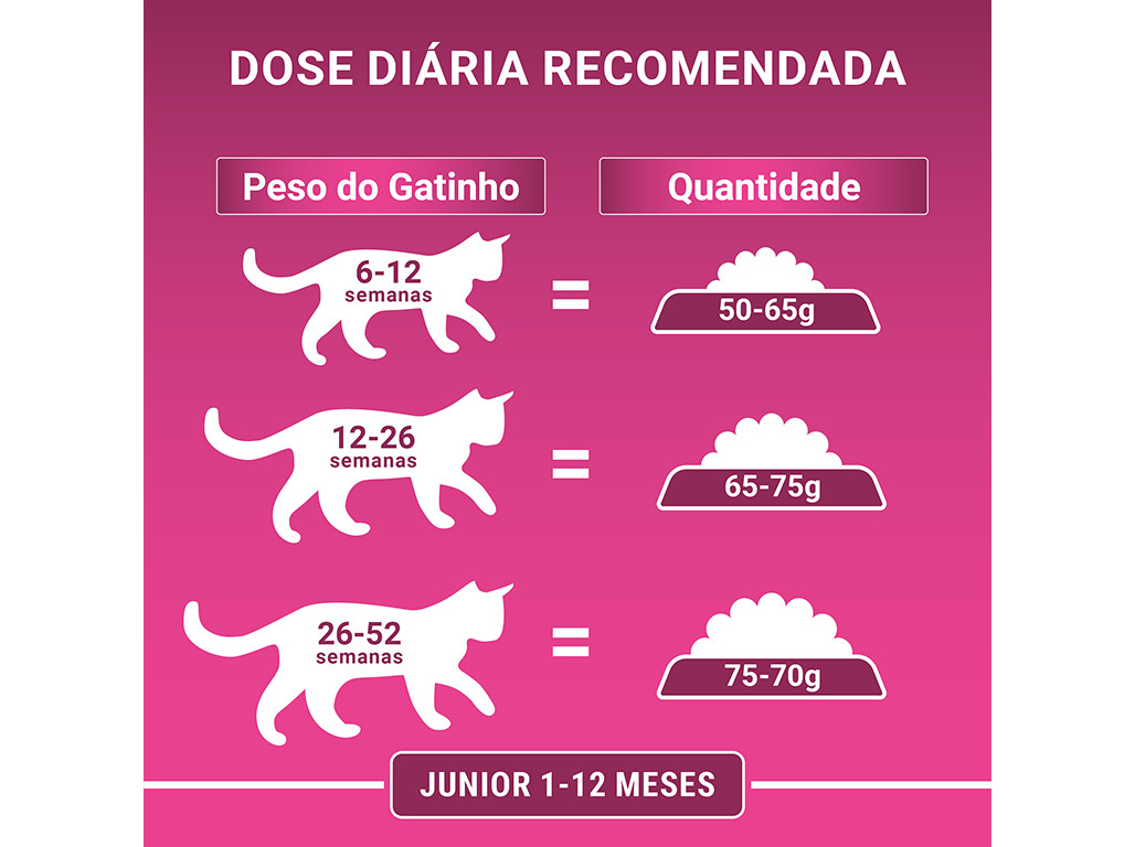RAÇÃO PARA GATO PURINA ONE JÚNIOR COM FRANGO E ARROZ 800G