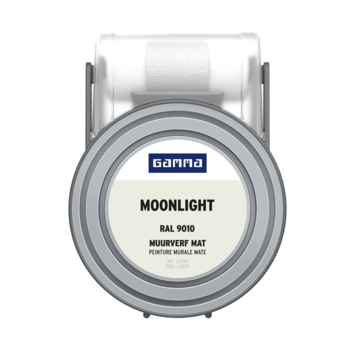 GAMMA kleurtester muurverf 55ml moonlight