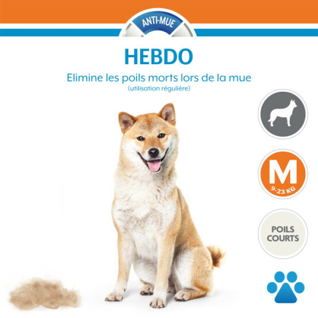Brosse FURminator pour chien à poils courts