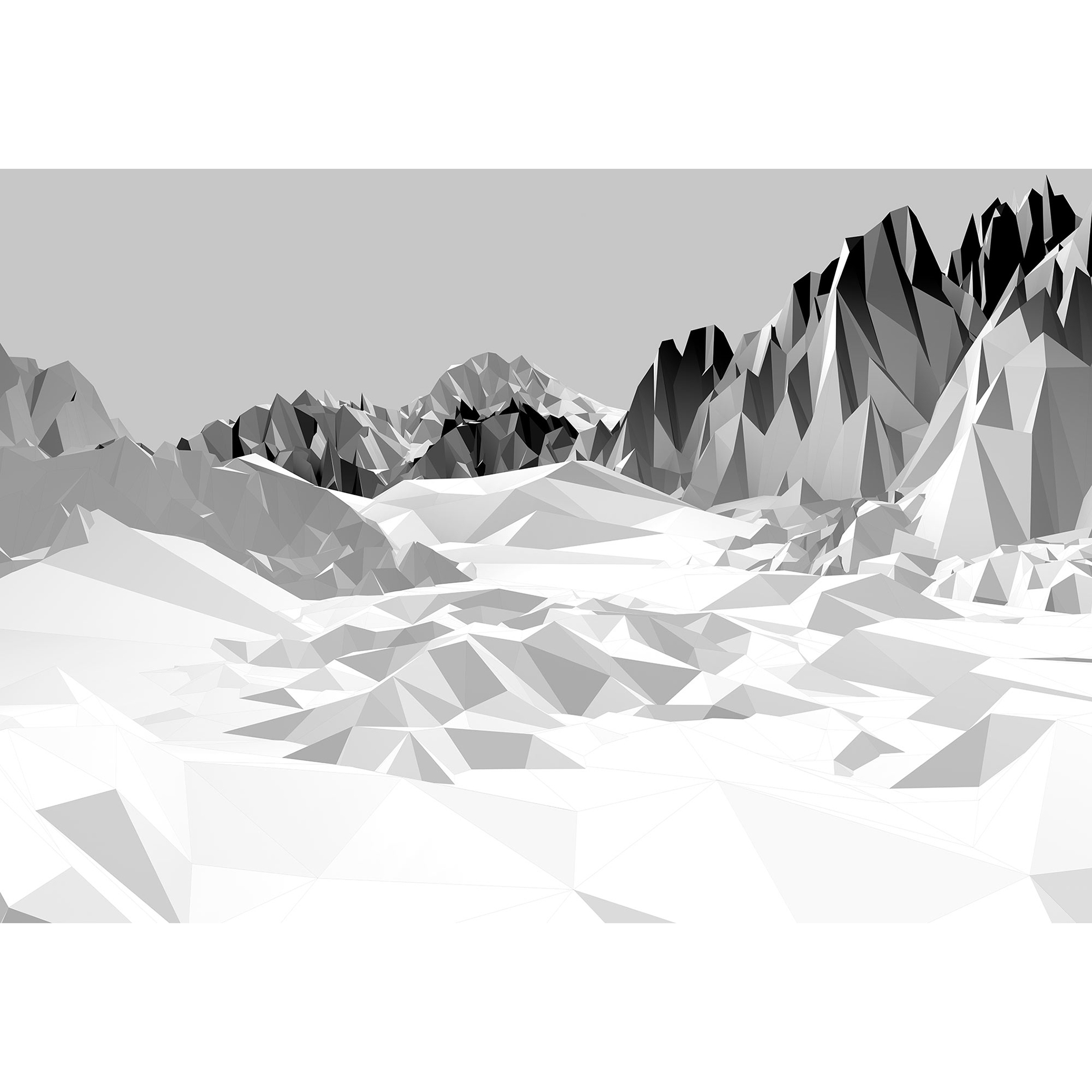 Papier-Fototapete ICEFIELDS - schwarz-weiß - 368x254 cm