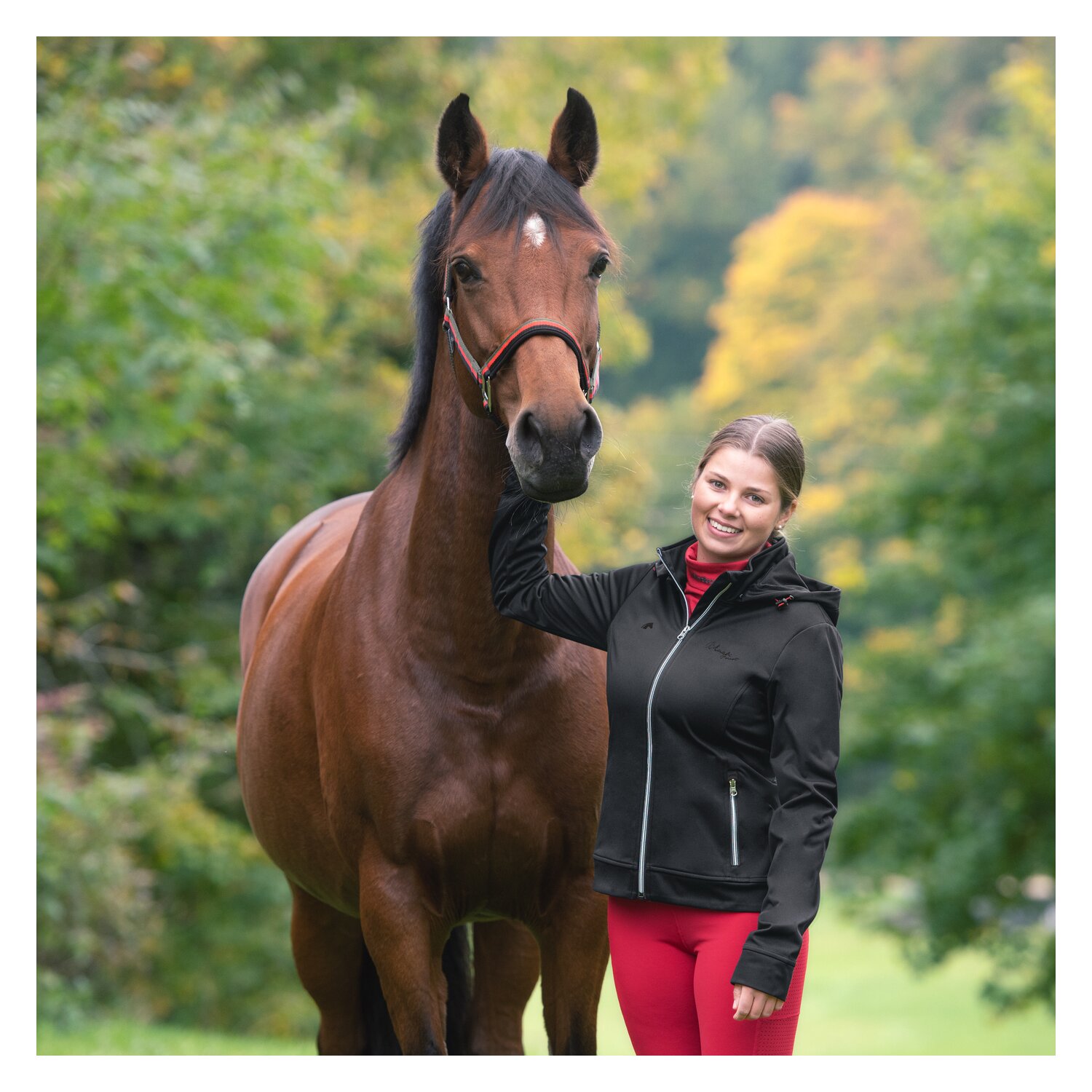 black forest Softshelljacke mit Print - black