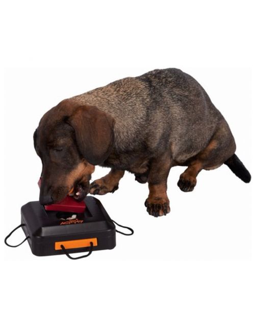 Trixie Dog Activity Gamble Box Strategiespel - Hondenspeelgoed - 15x15 cm Donkerblauw Wit Level 1