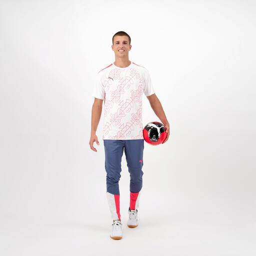 Liga de Equipes Puma