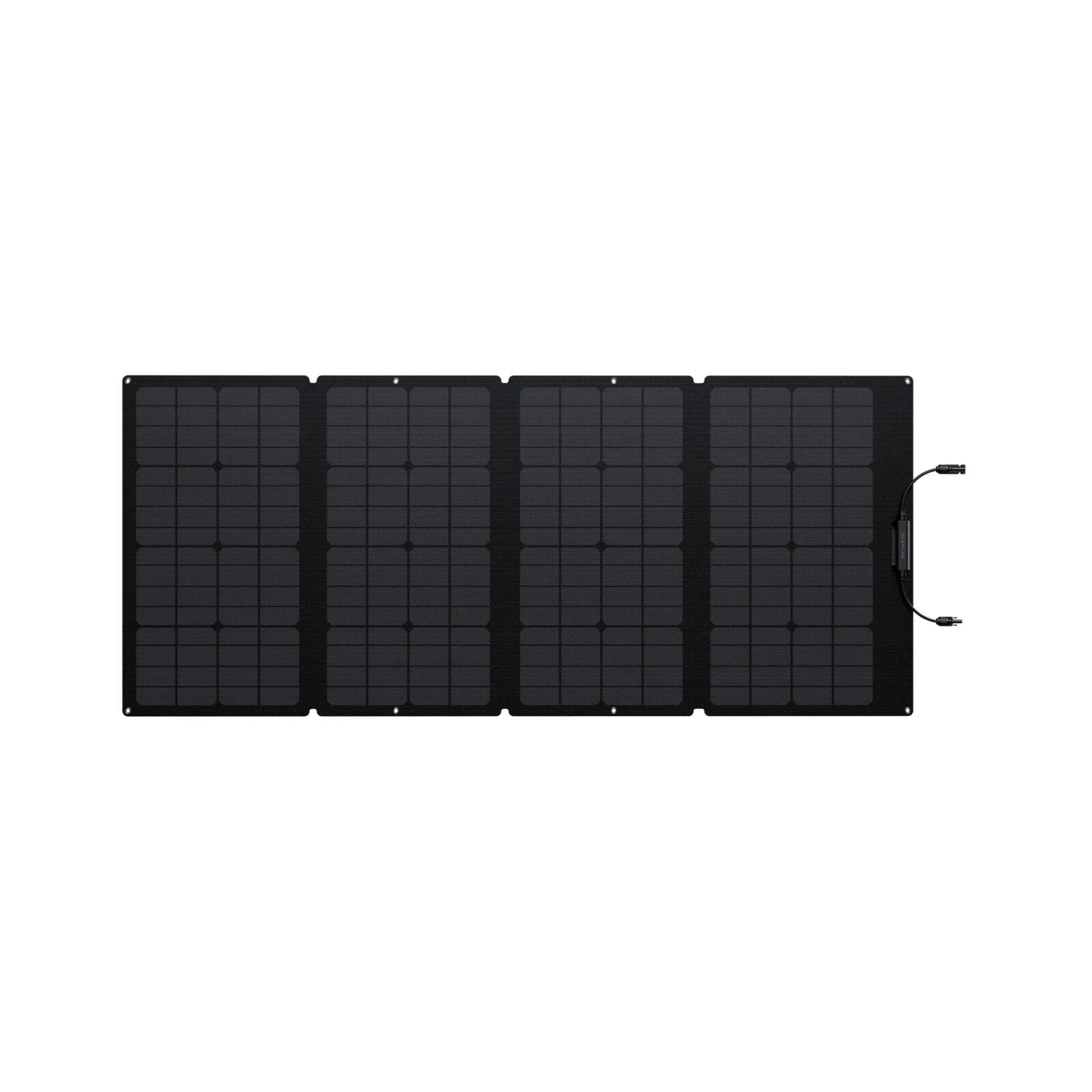 EcoFlow 160 W Tragbares Solarpanel