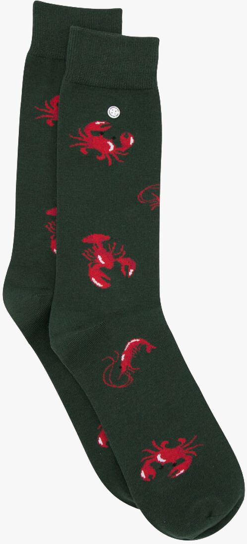ALFREDO GONZALES groene alfredo gonzales sokken sea critters