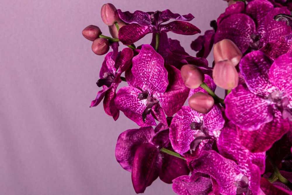 Ptmd branche artificielles orchidee - 78x17x79 cm - plastique - pourpre