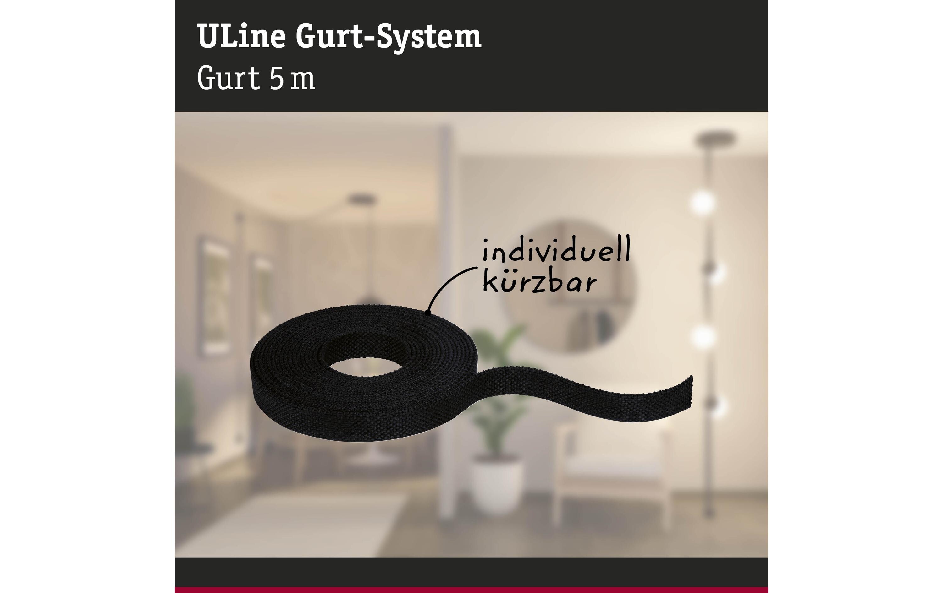 ULine Gurt 5 m, Dacron, SchwarzGurt-System als eine innovative Lösung für einzigartige Lichterlebnisse