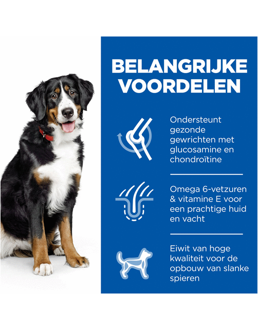 Hill's Canine Adult Large Breed Kip - Hondenvoer