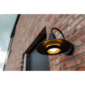 LUTEC wandlamp Swan zwart 25W