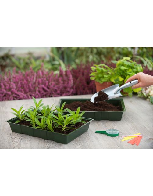 Nature Kweekbak - Kweekbakken - 35x23.5x5.5 cm Groen 5 stuks