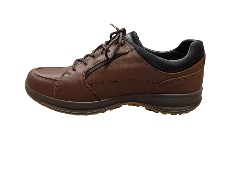 8629 Brown