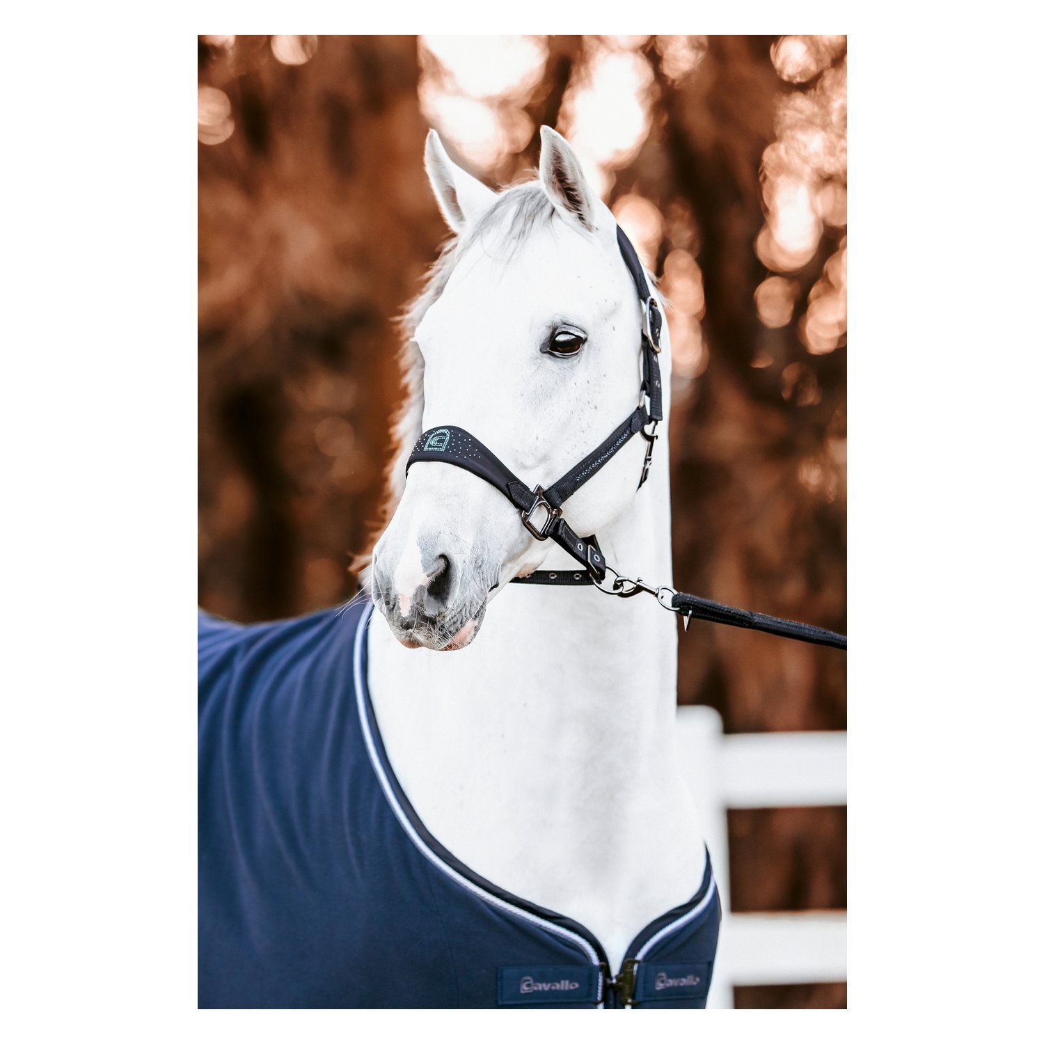 Cavallo Abschwitzdecke CAVALHEIDA  - dark blue