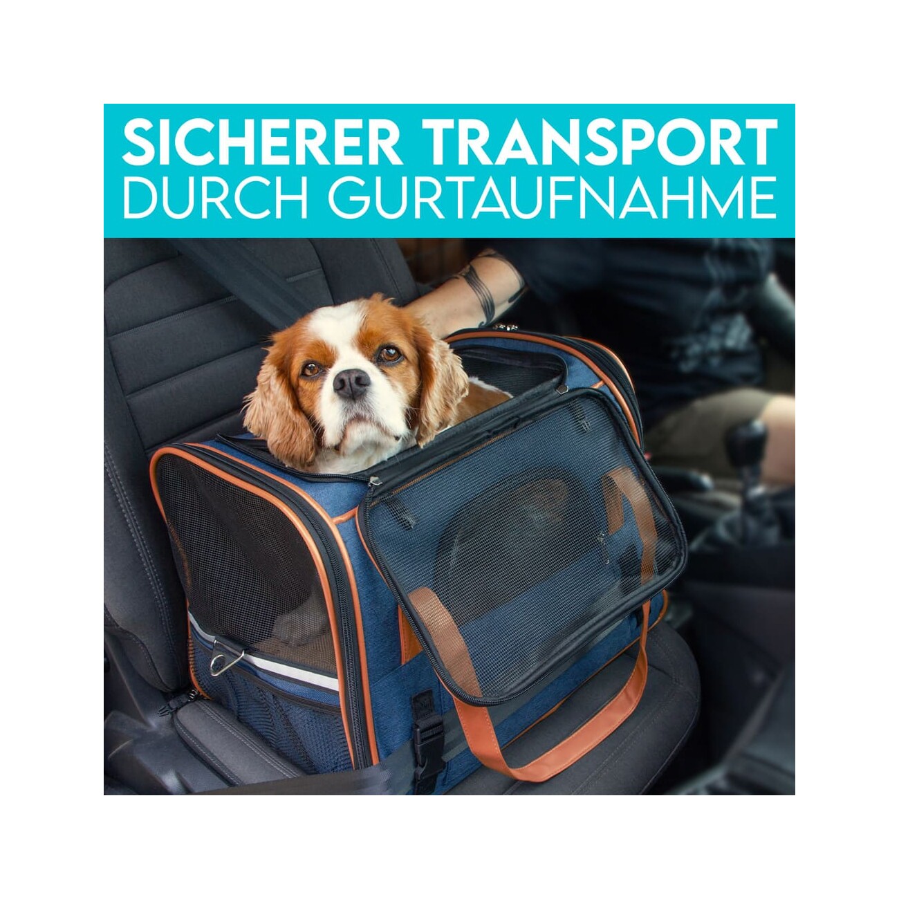 HUND IST KÖNIG ® Hundetasche Katzentasche | robust & formstabil | faltbar & platzsparend dunkelblau S-M