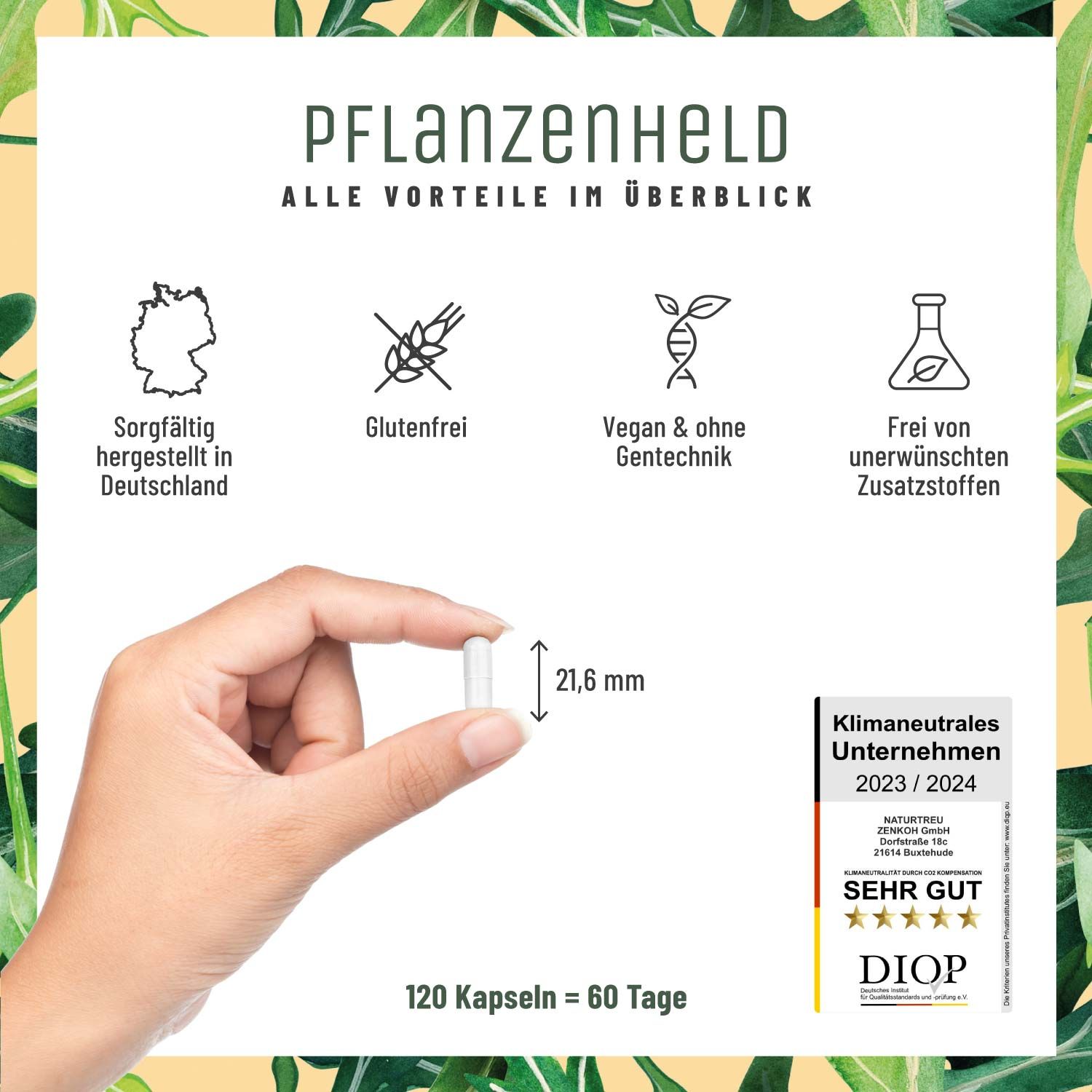 Veganer & Vegetarier Vitamine - Multivitamin Kapseln - Pflanzenheld - NATURTREU®