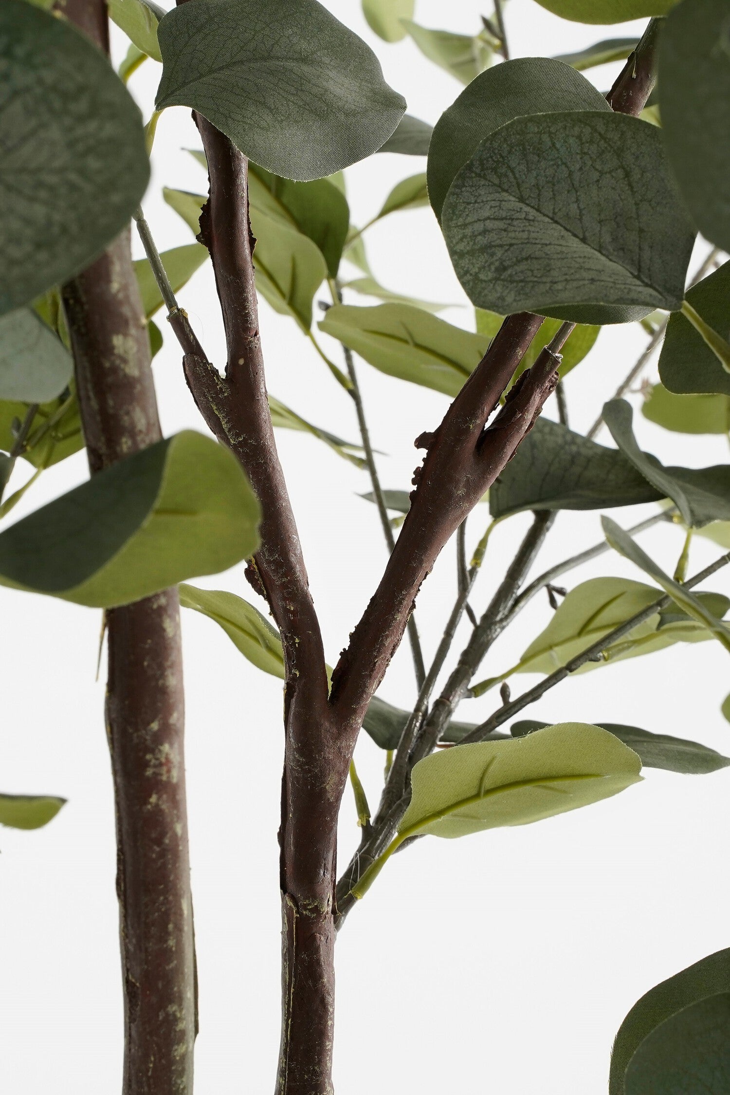Mica Decorations kunstplant Eucalyptus groen H 180 D 80 cm