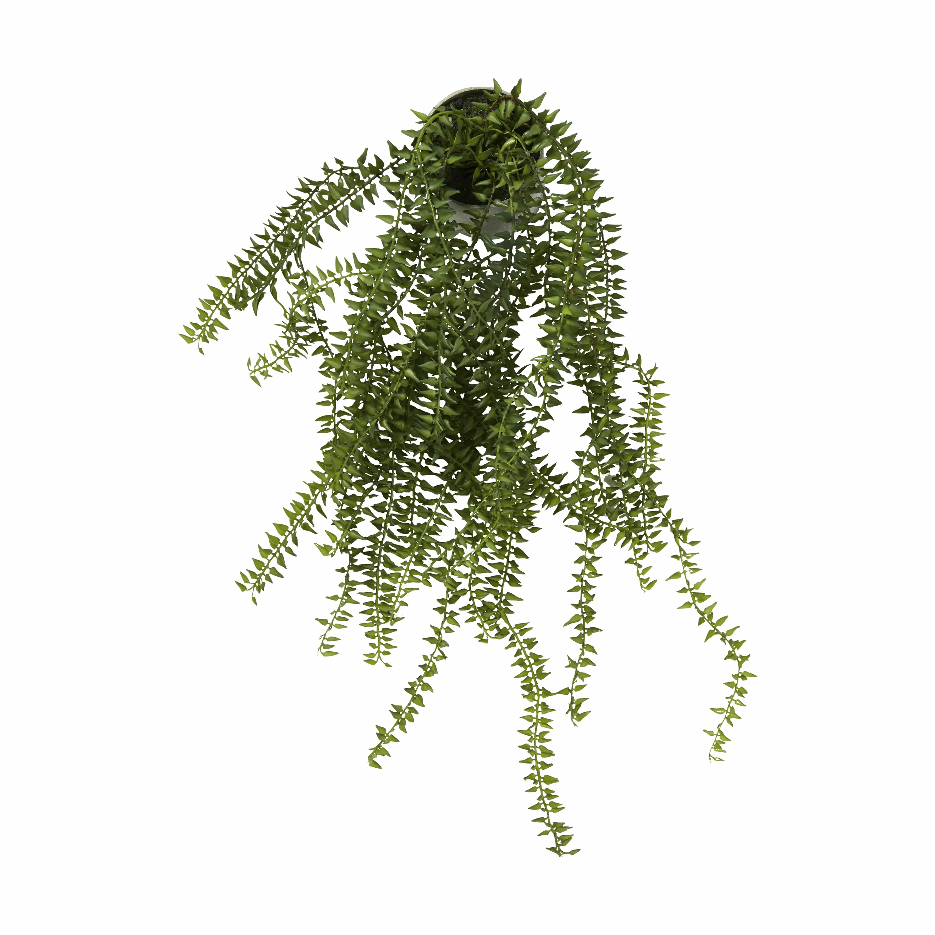 Speedtsberg Kunstig Plante - Agerpadderok