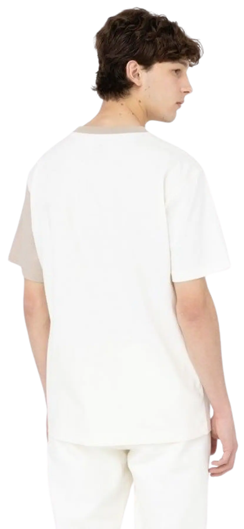 Dickies Eddyville T-Shirt | SkatePro