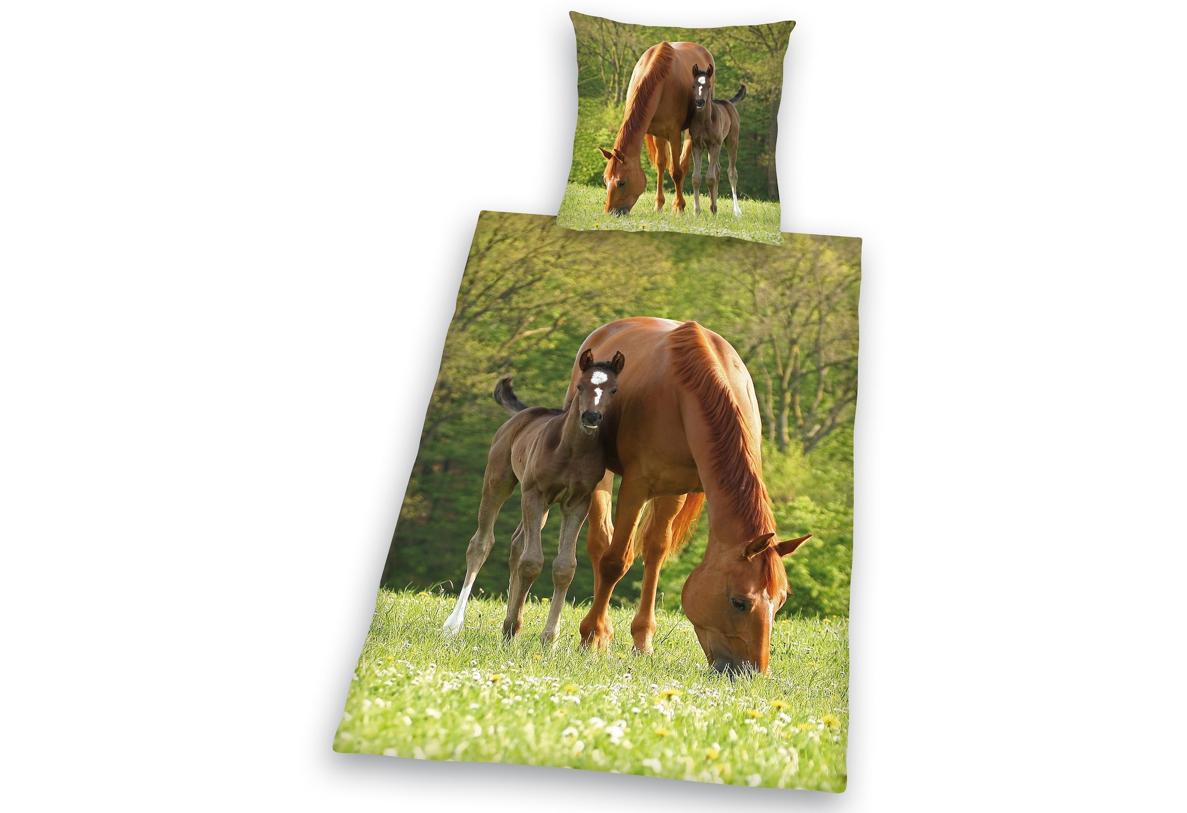 Herding Young Collection Kinderbettwäsche »Pferd mit Fohlen« 2 Stk. tlg. für Pferdefreunde