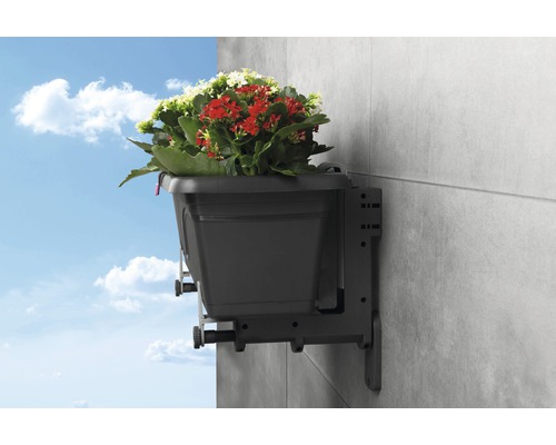 Lafiora Verso Wandbloembakhouders, 1 paar