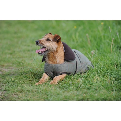 Casaco para cães Weatherbeeta Tweed II, cor verde-oliva