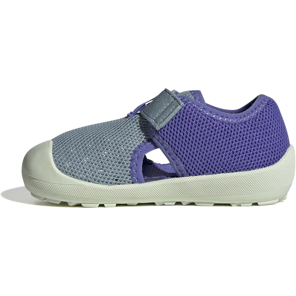 Køb adidas Originals Magic Grey/Semi Cobalt Blue/Semi Cobalt Blue Terrex Captain Toey I Sandal