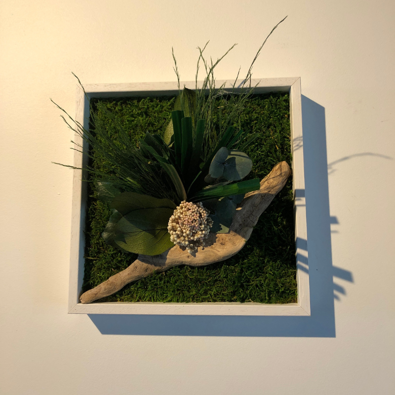 Stab nature - cadre blanc - mono 22x22