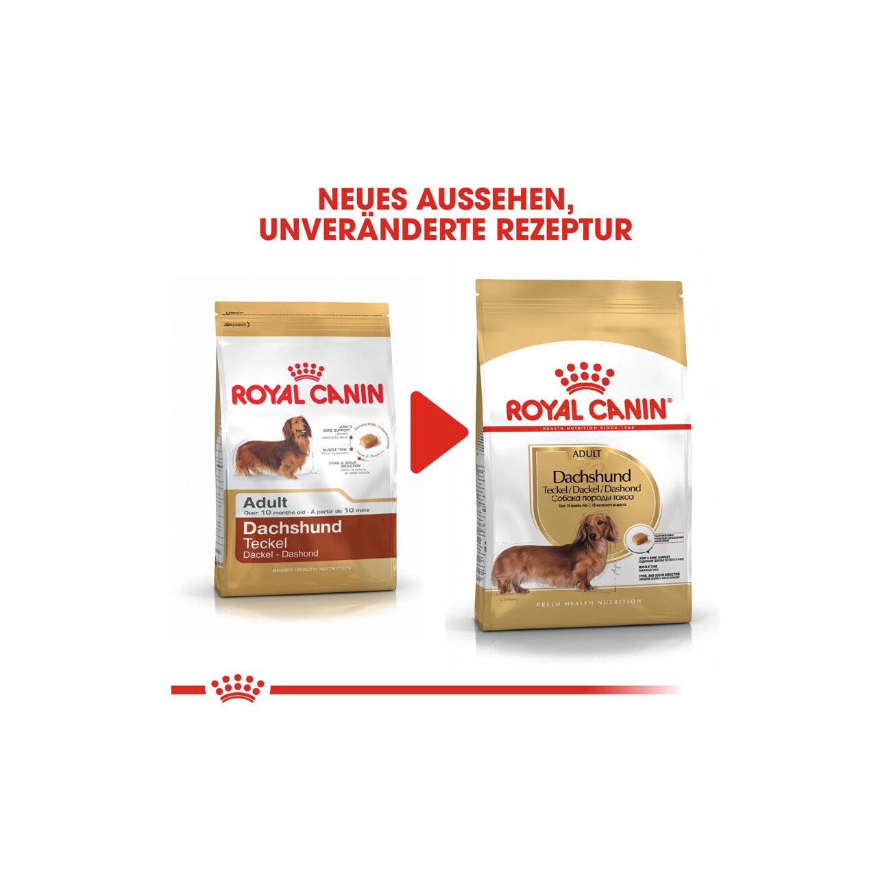 ROYAL CANIN Dachshund Adult 1,5 kg