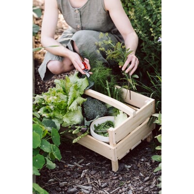Kleine Gartenschere
