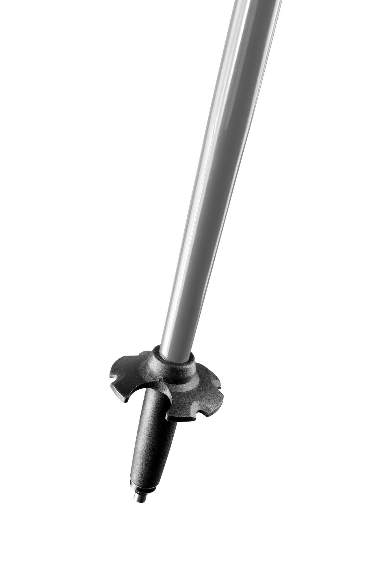 Dynafit Alpine Pro Pole