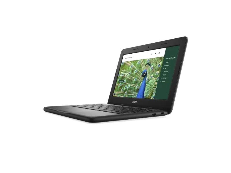 Dell Chromebook 3120 (2024) - Intel N-series - N100 / op til 3.4 GHz - Chrome OS - UHD Graphics - 8 GB RAM - 64 GB eMMC - 11.6