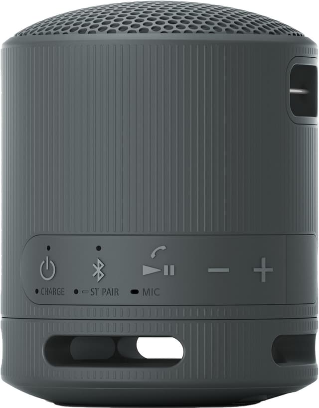 Sony SRS-XB100 trådløs bærbar højttaler (sort)