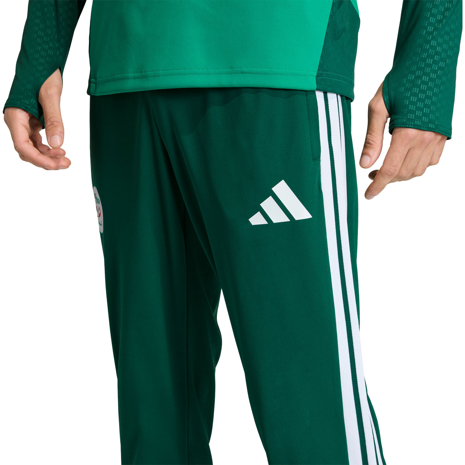 adidas Algerije Trainingspak WK 2026